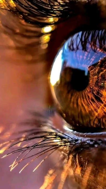 August 13, 2024 - YouTube