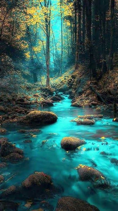 #nocaption#feelthemusic - YouTube