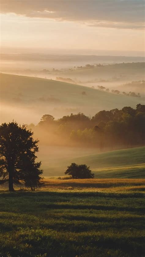 Wake Up Happy: 15 Beautiful Morning Wallpaper Ideas to Brighten Your Day - Cheer Lives