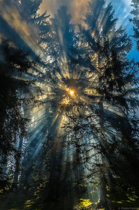 Diane Hughes (@dhughes5520) | Twitter