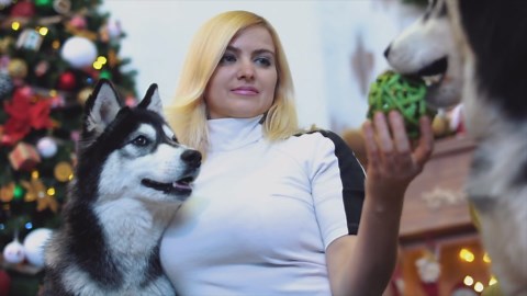 Top ten largest dog breeds