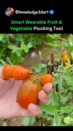 Smart Wearable Fruit & Vegetable Plucking Tool | Oddly Viral