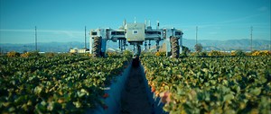 Robotic Harvesters | Agrobot