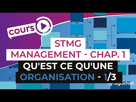 Chapter 1: What is an organization 1/3 - Management Bac STMG - digiSchool