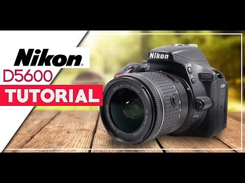 Nikon D5600 User Guide - How To Get The Best Videos & Photos