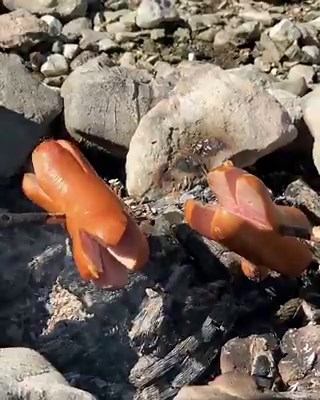 AUTHENTIC FOODS, AUTHENTIC LOCATIONS: Grilling Cervelat sausages over an open fire in Rüschegg, Switzerland 🇨🇭 www.tasteatlas.com/cervelat . . . . . 📽: instagram.com/swissmountainview | TasteAtlas