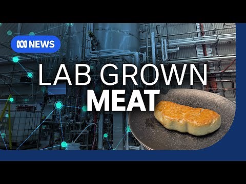Would you eat lab grown meat? | The Business | ABC NEWS