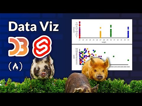 Data Viz w/ Svelte and D3 Tutorial – Custom and Interactive Data Visualization