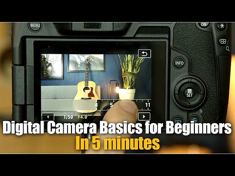 Digital Camera Basics for Beginners: In 5 minutes