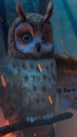 The Humane Society of the United States and Humane Society International have united all efforts under one name, Humane World for Animals - one global mission to protect every animal, everywhere. Together, we'll continue to fight for a better, more compassionate world and end animal cruelty. Join us! #HumaneWorld #EndAnimalCruelty | Humane World for Animals