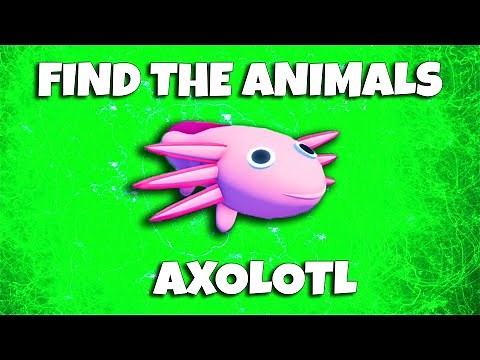 ROBLOX - Find the Animals - AXOLOTL