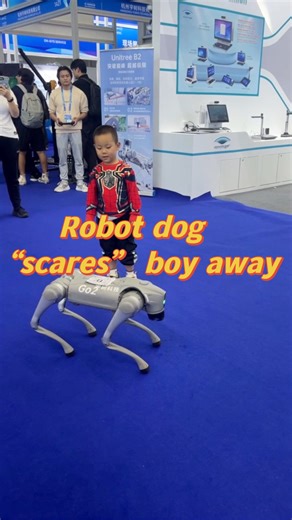 A robot dog "scared off" a curious boy at the 25th China Hi-Tech Fair which just concluded in China's Shenzhen. #dog #robot #hightech #China #robotic #AI | China Xinhua News