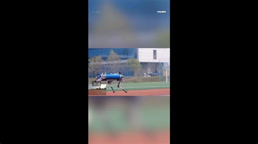 World's fastest robot dog sets Guinness Record for 100m sprint
