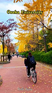 Osaka University || Autumn 🍁🇯🇵❤️ #japan #osaka #autumnvibes #autumn | Hello Japan