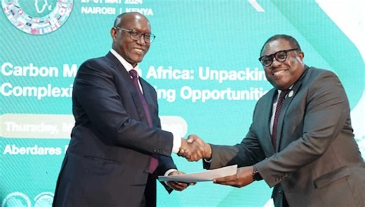 African Development Bank To Roll Out Carbon Credit Support Facility For Climate Finance Boost