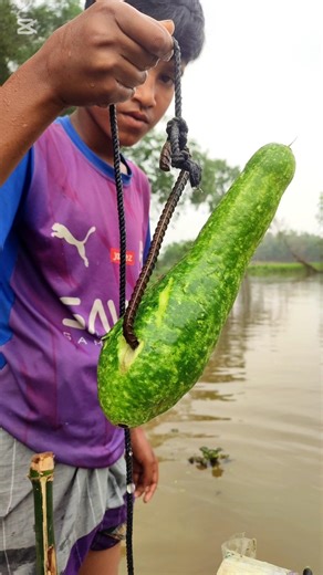 Unbelievable Gourd Fishing trap with change #fishing #shorts