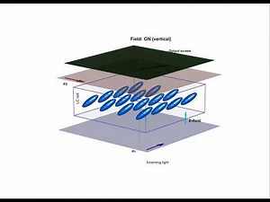 How an LCD Pixel Works: 3D Liquid Crystal Visualization