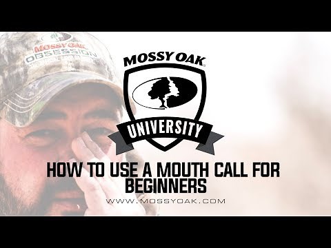 How to Use a Mouth Turkey Call for Beginners