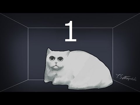 10^500 Parallel Universes: Lecture 1 of Quantum Computation and Information at CMU