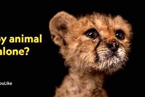 11 Outstanding Digital Media Campaigns from 2021