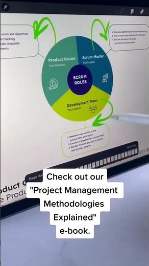 27 Different Project Management Methodologies EXPLAINED! #SHORTS