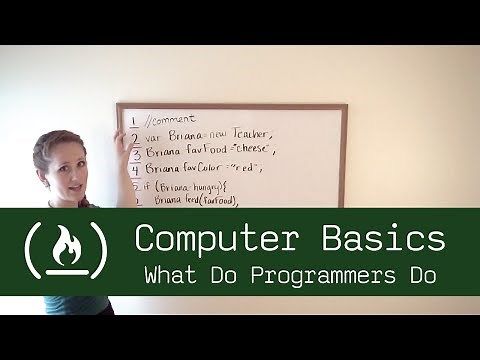 Computer Basics 20: What Do Programmers Do?