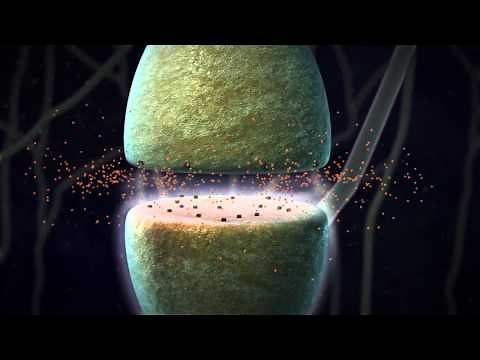 Chemical Synapse Animation