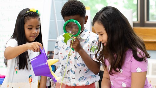 Back-to-School Science Activities for the First Day of Class