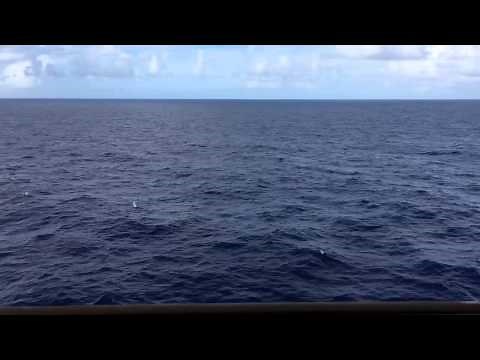 Ocean View - 1 Full Hour HD - Cruise Ship Balcony