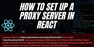 How to Set Up a Proxy Server in React | Dealing with CORS