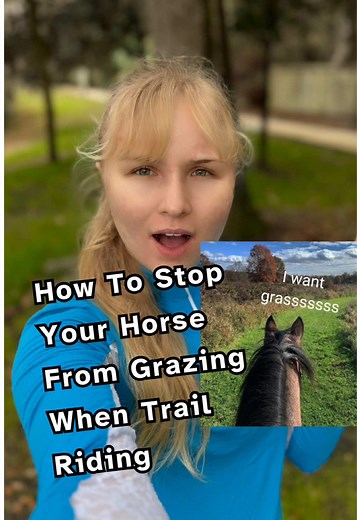 How to Stop Horse Grazing During Trail Rides