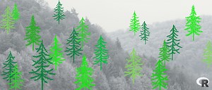 Random Forest Regression in R: Code and Interpretation | HackerNoon