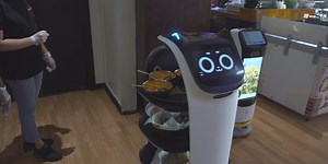 Rice and Robots: Tallahassee Indian restaurant lets robots invade, sees boon in business