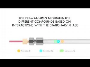 HPLC Analysis in a nutshell - How a sample is analyzed