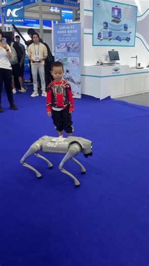 A robot dog "scared off" a curious boy at the 25th China Hi-Tech Fair which just concluded in China's Shenzhen. #dog #robot #hightech #China #robotic #AI | China Xinhua Sci-Tech
