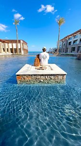 🌊🐕🌴 | Stick Figure