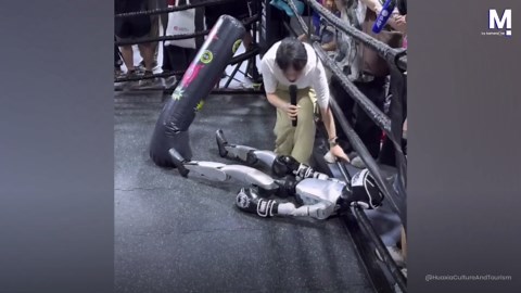 Robo KO! Boxing robot knocks itself out in hilarious sparring fail
