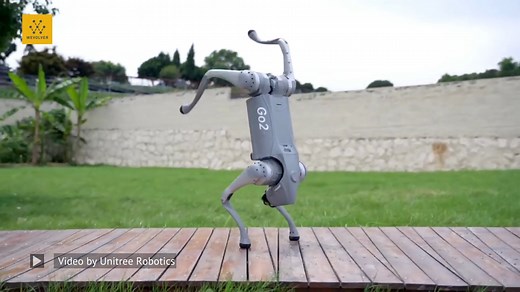 The Unitree Go2 is a quadruped robot that features embodied AI technology and is empowered by GPT’s large language model. It also features Unitree's self-developed 4D LIDAR L1 with 360°x 90°hemispherical ultra-wide recognition, super small blind spot and a minimum detection distance as low as 0.05m, enabling it to recognize different terrains. Video Credit: Unitree Robotics -------------------------------- Get your company on Wevolver. Wevolver reaches millions of professional engineers every mo
