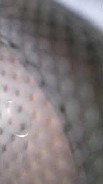 返事はいらない 72年 荒井由実 松任谷由実