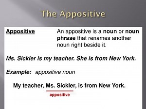 The Appositive