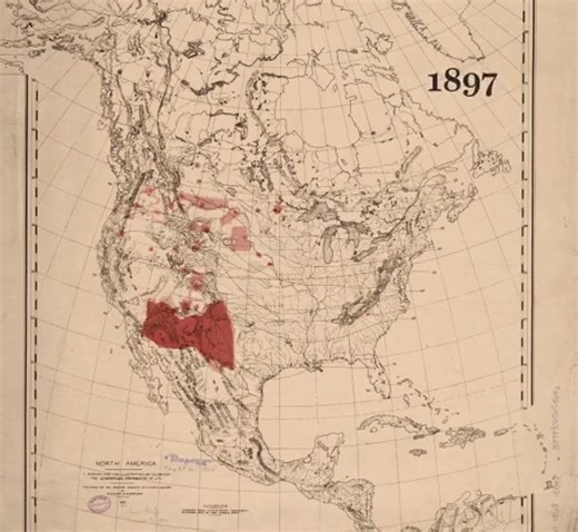Loss of Native American Lands In The US 1776-1930 | Brilliant Maps