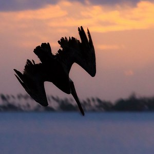 Flow Charts - Mindtools