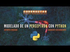 Modela un perceptrón con Python