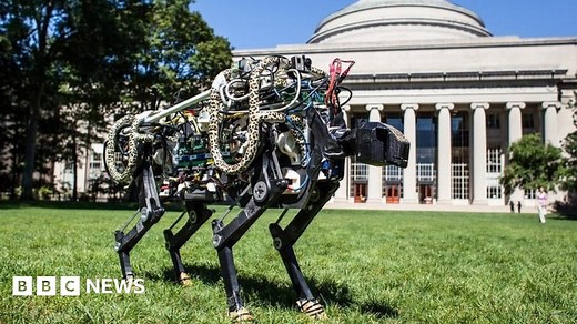 Six ways nature has inspired tech innovations