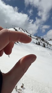 It doesn’t get much better than snake runs in the sun. 🐍☀️ Surfy turns, soft snow, and plenty of spots to slash. They’re popping up all over the mountain. Can you find them all? 🏂 @jammburglar 🤳 @thelittlematt | Mammoth Mountain