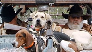 Watch American Hoggers Season 3 Episode 2 - Breaking Point