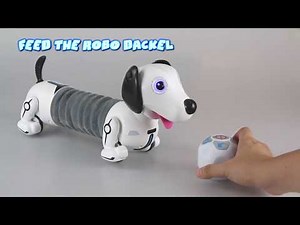 ROBO DASH / ROBO DACKEL - HOW TO PLAY DEMO VIDEO BY SILVERLIT