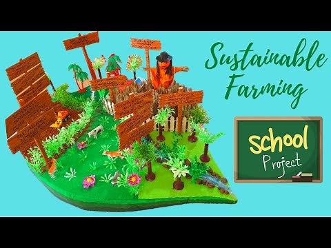 Sustainable Farming | School Project | Agriculture Model | Economics | Kids DIY