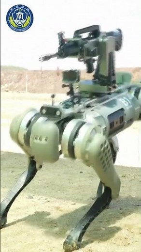 China’s military unveils robot dogs armed with rifles