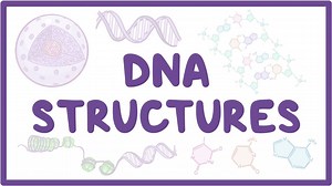 DNA structure: Video, Causes, & Meaning | Osmosis